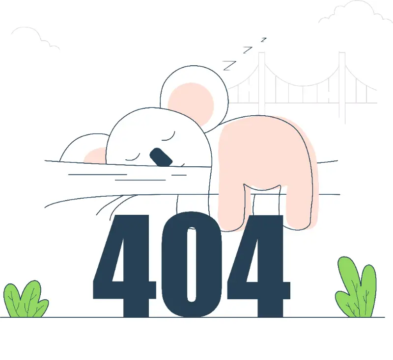 עמוד 404