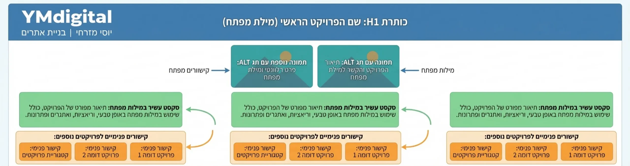 אינפוגרפיקה המראה את המבנה של