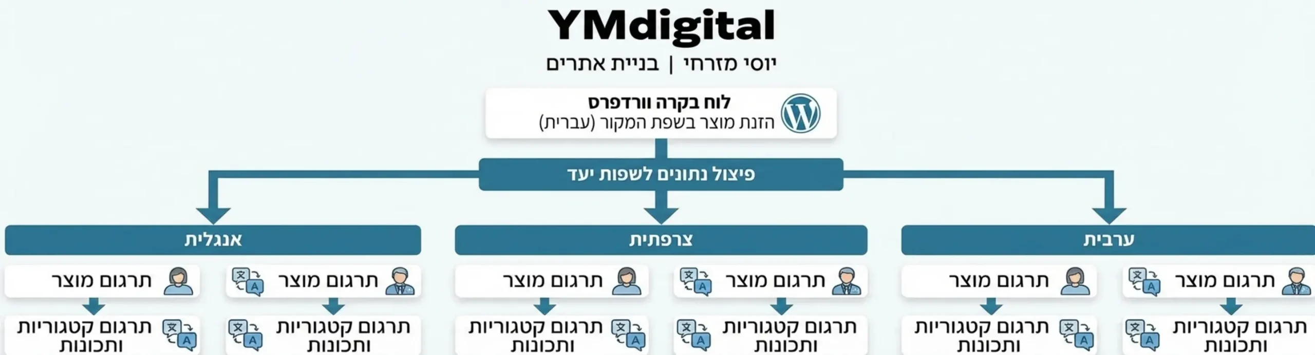 אינפוגרפיקה המציגה את זרימת המידע במערכת וורדפרס מרגע הזנת מוצר בשפת המקור ועד פיצול הנתונים למספר שפות שונות כולל תרגום קטגוריות ותכונות מוצר