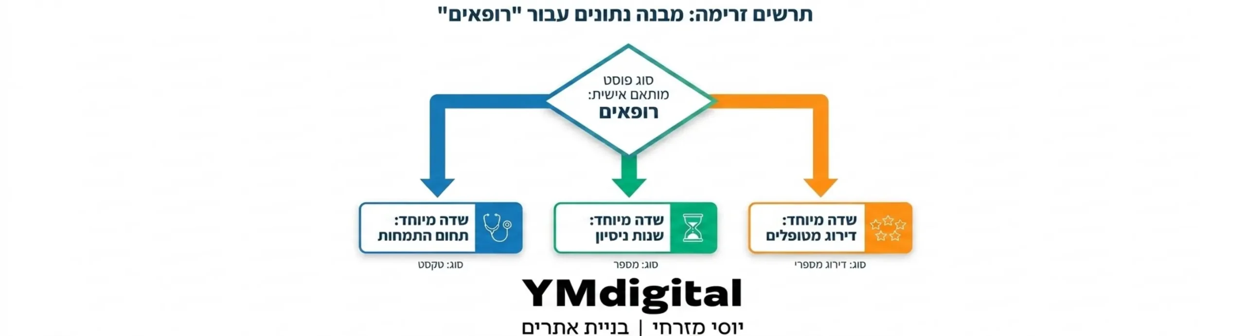 תרשים זרימה המציג כיצד סוג פוסט מותאם אישית כמו 'רופאים' מתחבר לשדות מיוחדים כמו 'תחום התמחות', 'שנות ניסיון' ו'דירוג מטופלים'
