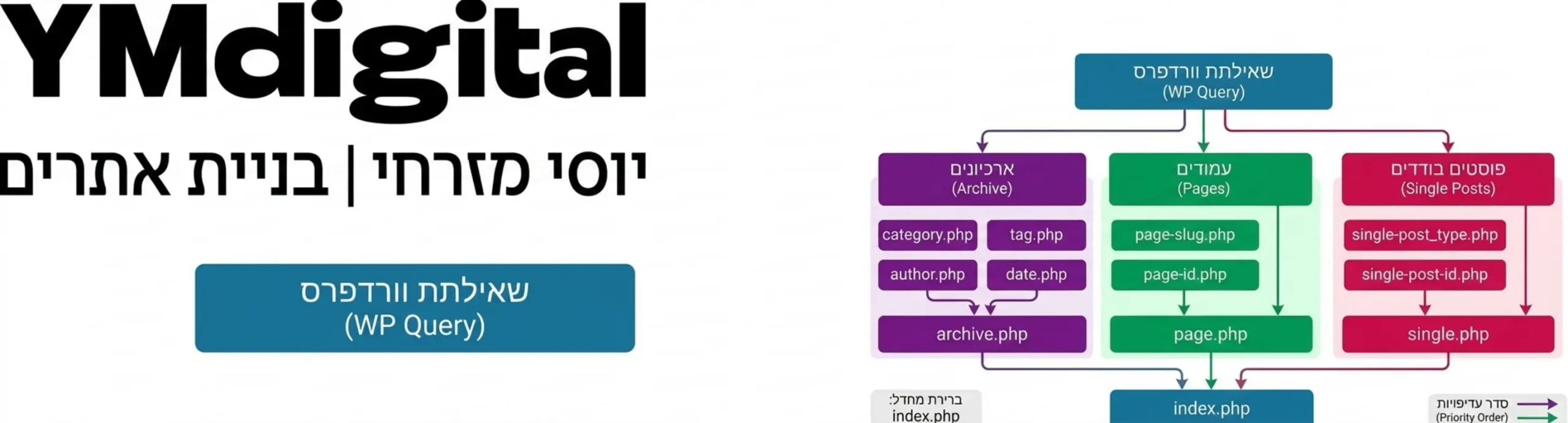 אינפוגרפיקה מפורטת המציגה את עץ היררכיית התבניות של וורדפרס, החל מהשאילתה הראשונית ועד לקובץ index.php בסוף השרשרת, עם חצים המראים את סדר העדיפויות בין קבצי ארכיון, עמודים ופוסטים בודדים